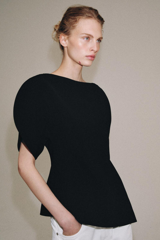 Zara Puff Sleeve Top