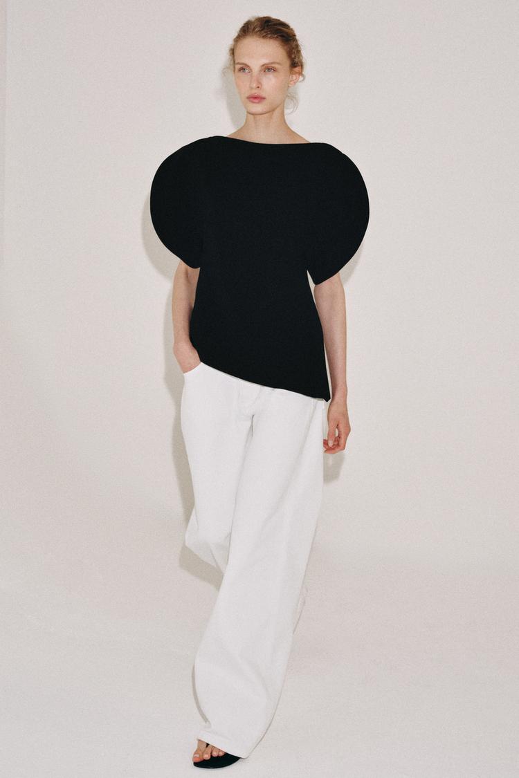 Zara Puff Sleeve Top