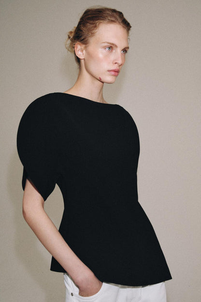 Zara Puff Sleeve Top